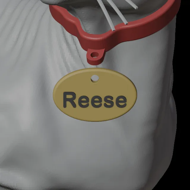 Blender-Ansicht von Reeses Hals: rotes Halsband, ovales Namensschild mit der Aufschrift Reese und helle Barthaare