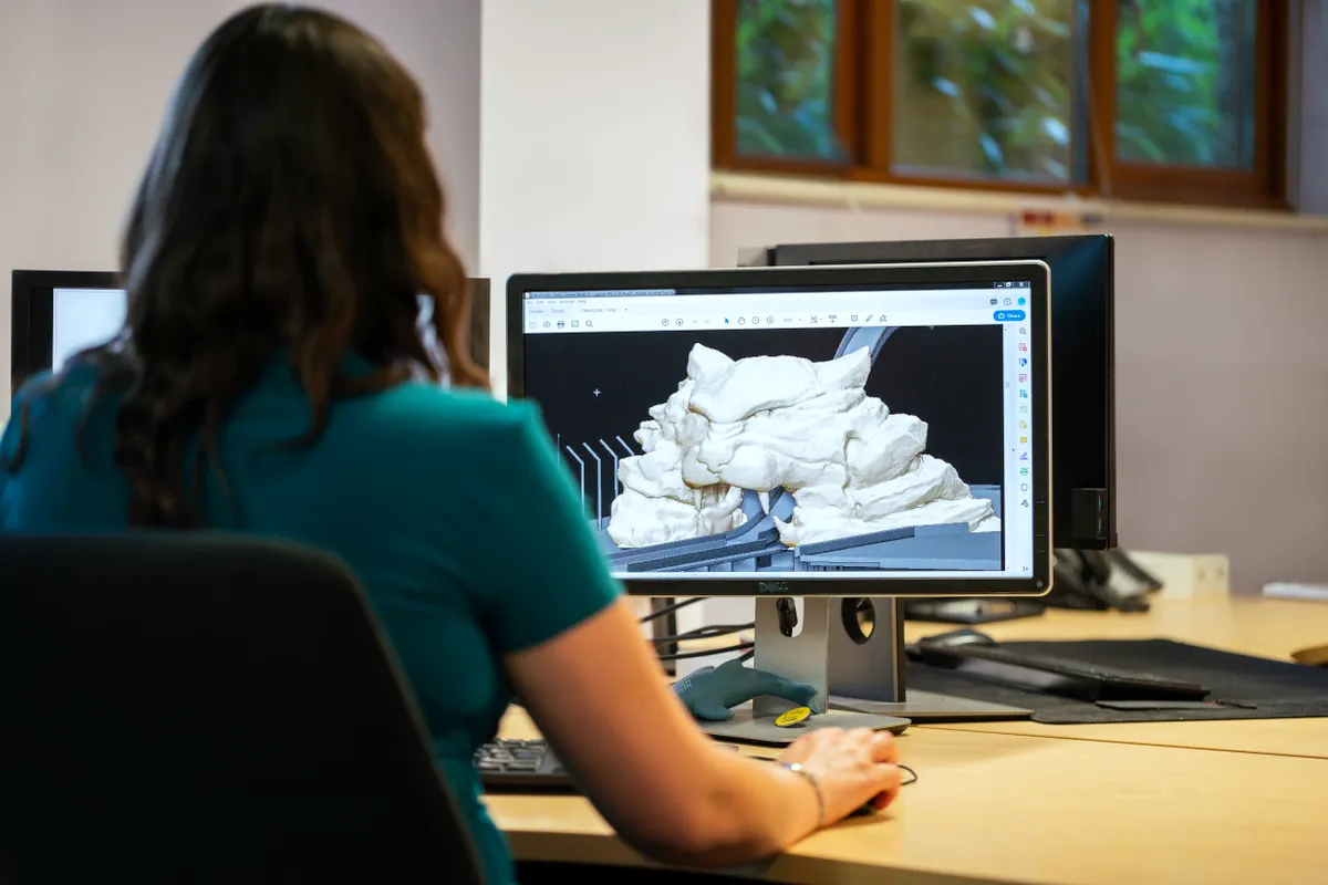 Organisch geformtes 3D-Modell als Netz in einer Modellier-Software am Bildschirm